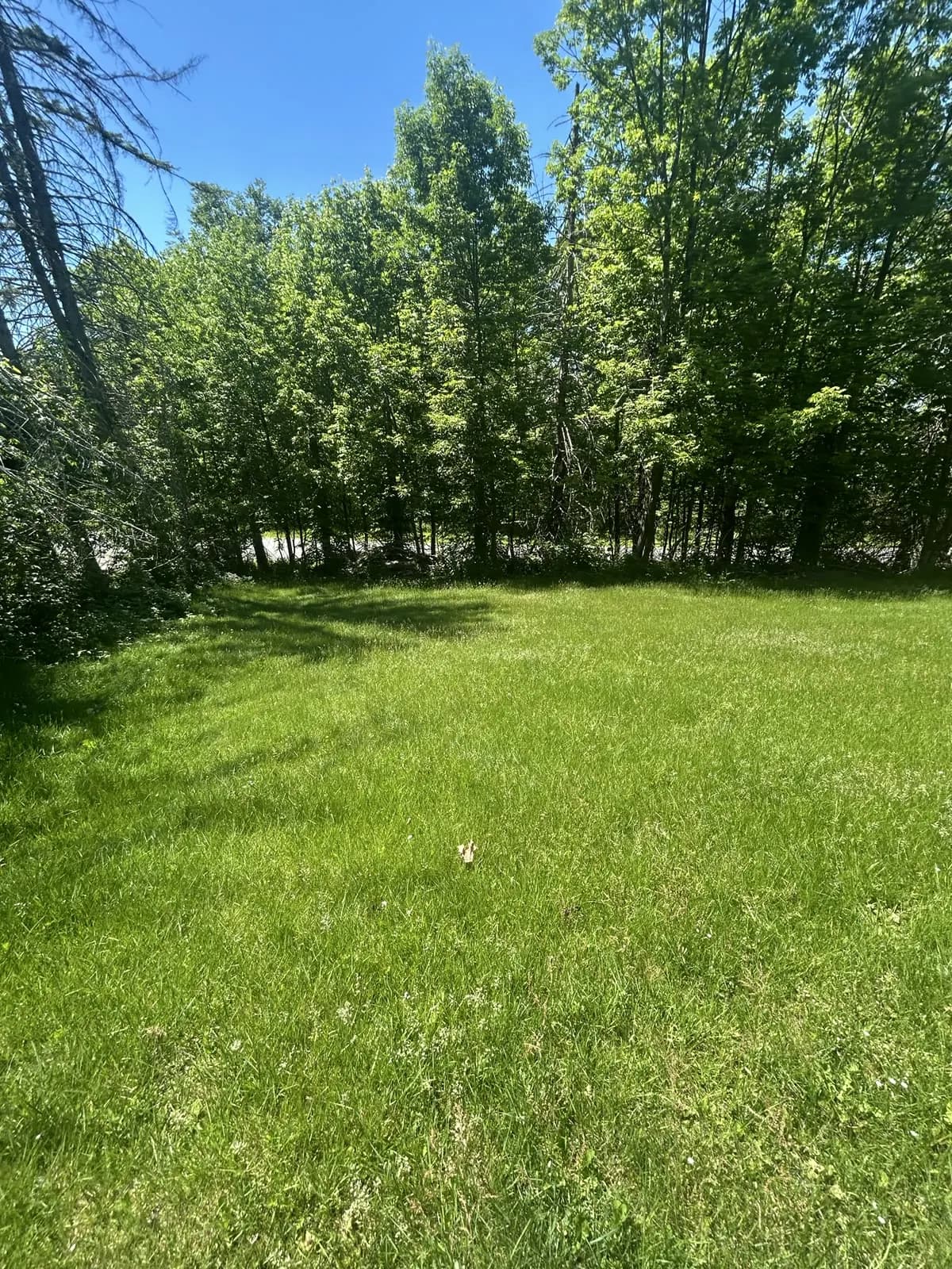 Photo 6 of 352 Maple Lake Rd, Moscow, PA 18444