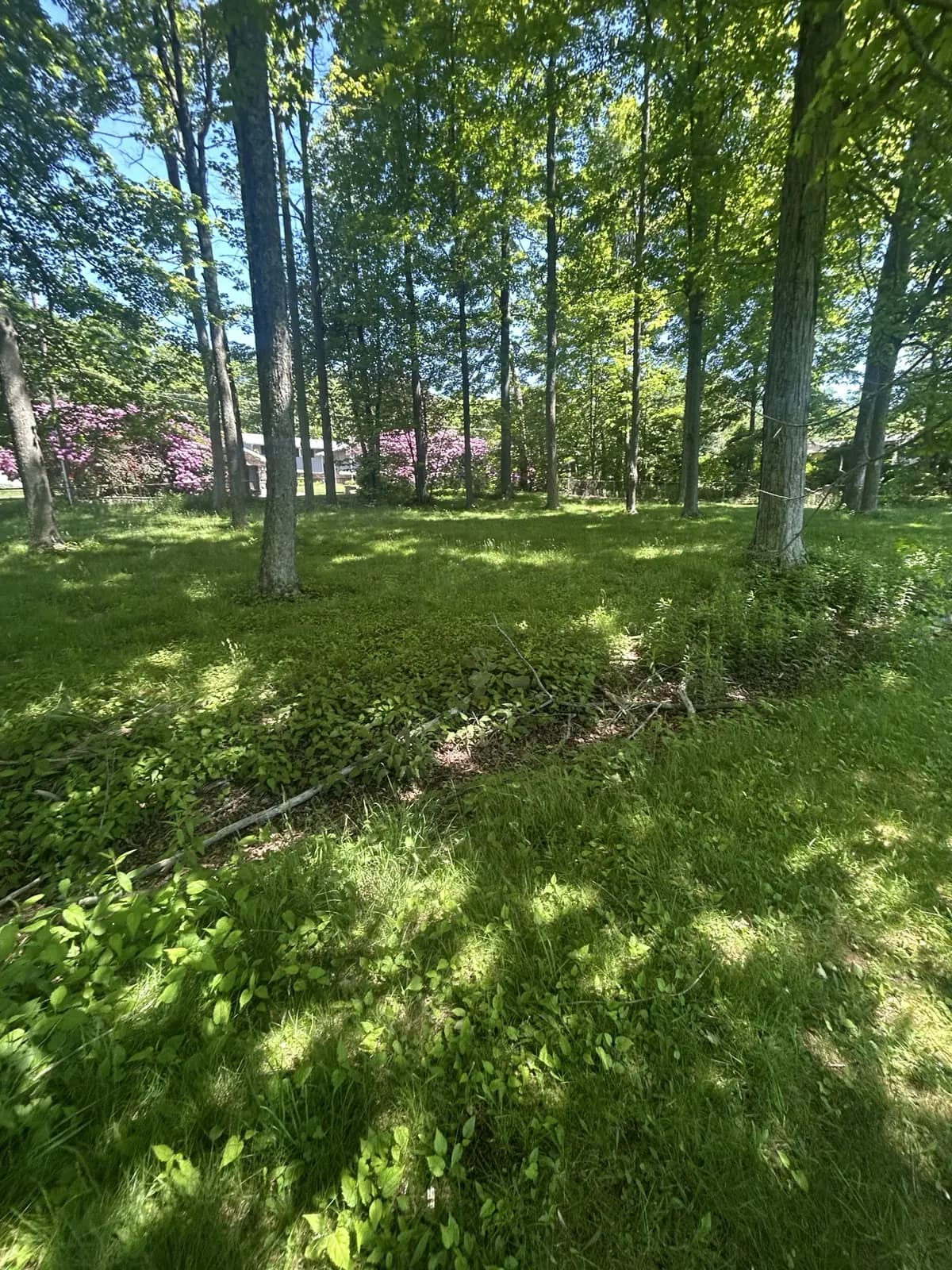 Photo 7 of 352 Maple Lake Rd, Moscow, PA 18444